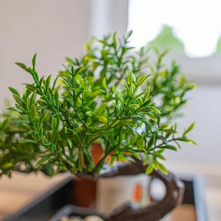 Apartment Wesseling Appartamento *