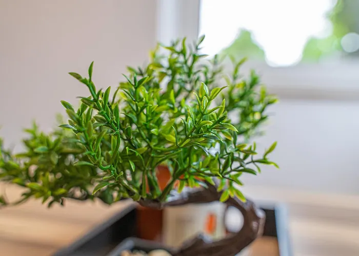 Apartment Wesseling Lejlighed *